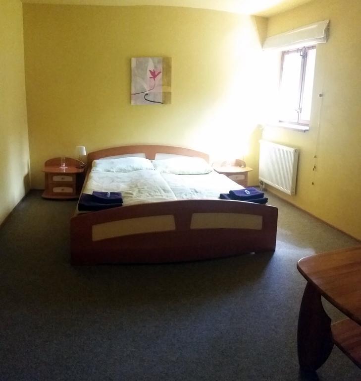 Salas-Partizanske Room photo